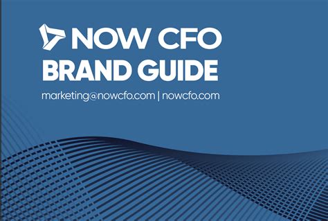 Now cfo - NOW CFO’s outsourced consultants have extensive knowledge of industry data – they have worked with a wide variety of companies and can bring industry context to your company’s financial information. Our outsourced consultants can objectively generate your financial models and forecasts to produce unbiased results. By extrapolating ...